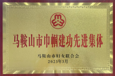 马鞍山市巾帼立功先进整体